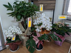 内覧会
