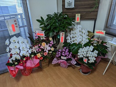 開業祝