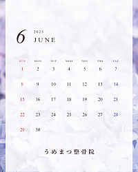 ６月の予定
