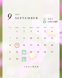 ９月の予定