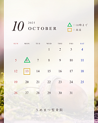 １０月の予定です🎃
