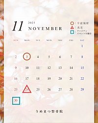 １１月の予定
