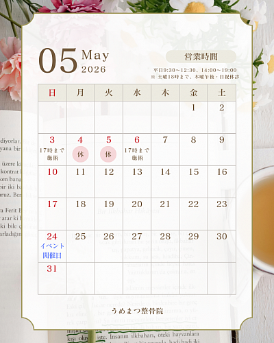 ５月の予定